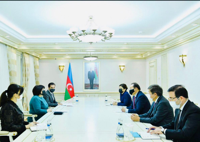 Secretary General of the Turkic Council met with the Speaker of the National Assembly of Azerbaijan