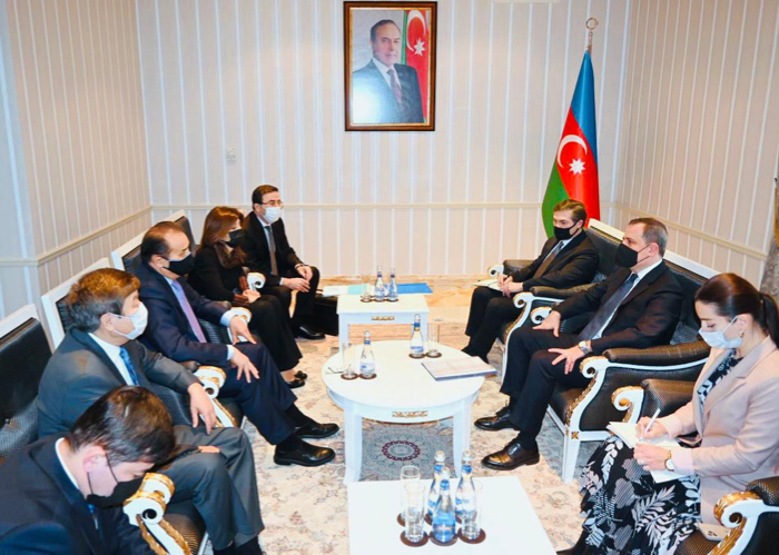 Heads of the Turkic Cooperation Organizations met with the Foreign Minister of Azerbaijan