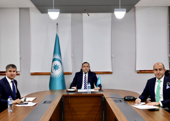 Deputy Secretary General of the Turkic Council attended the webinar held by the UN South-South Cooperation Office