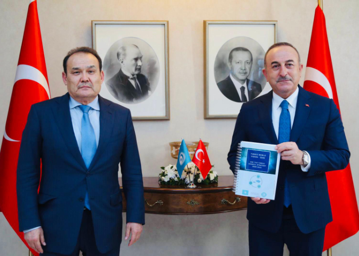 Turkic Council Secretary General met with Foreign Minister of Turkey