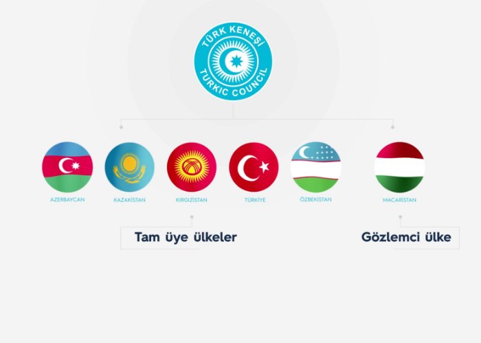 Türk Konseyi infografik tanıtım filmi yayınlandı