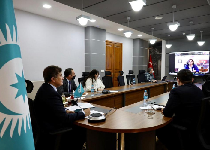 Türk Konseyi Sağlık Bilim Kurulu, 6. Toplantısını video konferans formatında gerçekleştirdi