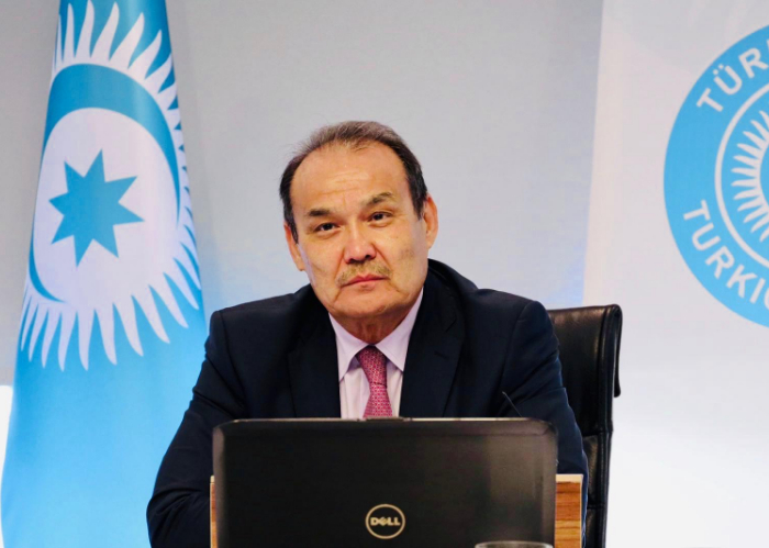 Turkic Council convened the First Video-Conference Meeting of the Health Scientific Group