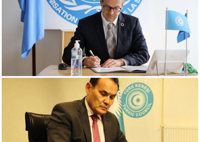 Turkic Council and World Health Organization signed a Memorandum of Understanding