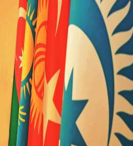 Turkic Council 2015 Activity Report